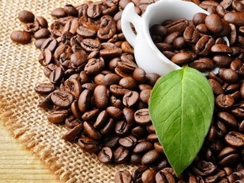 Bản tin thị trường cà phê ngày 4/6 
