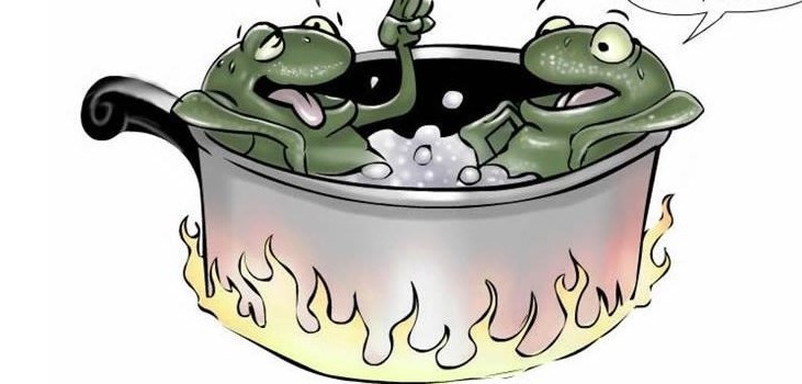 Sự thích nghi của chú ếch 