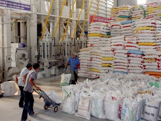 Hợp đồng xuất khẩu gạo tháng 10 cao nhất từ trước đến nay 