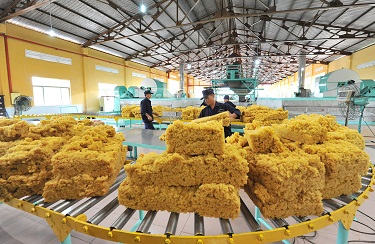 Giá cao su trực tuyến sàn Tocom, Thái Lan, Thượng Hải, Ngày 16/12/2016