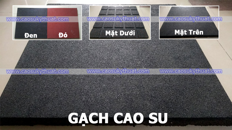 Giá cao su trực tuyến sàn Tocom, SHFE Thượng Hải, SGX Singapore Ngày 23/01/2026